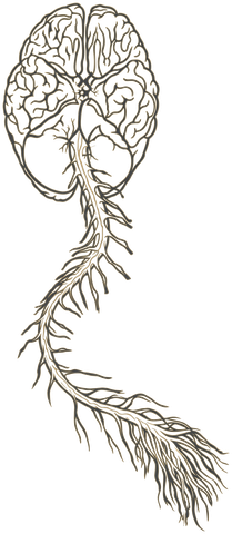 Talkback logo: a brain and spinal cord drawn as roots